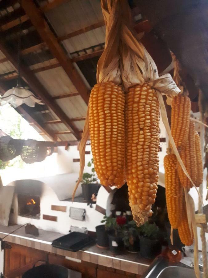Pensiunea Casa Godja Văleni Exterior foto